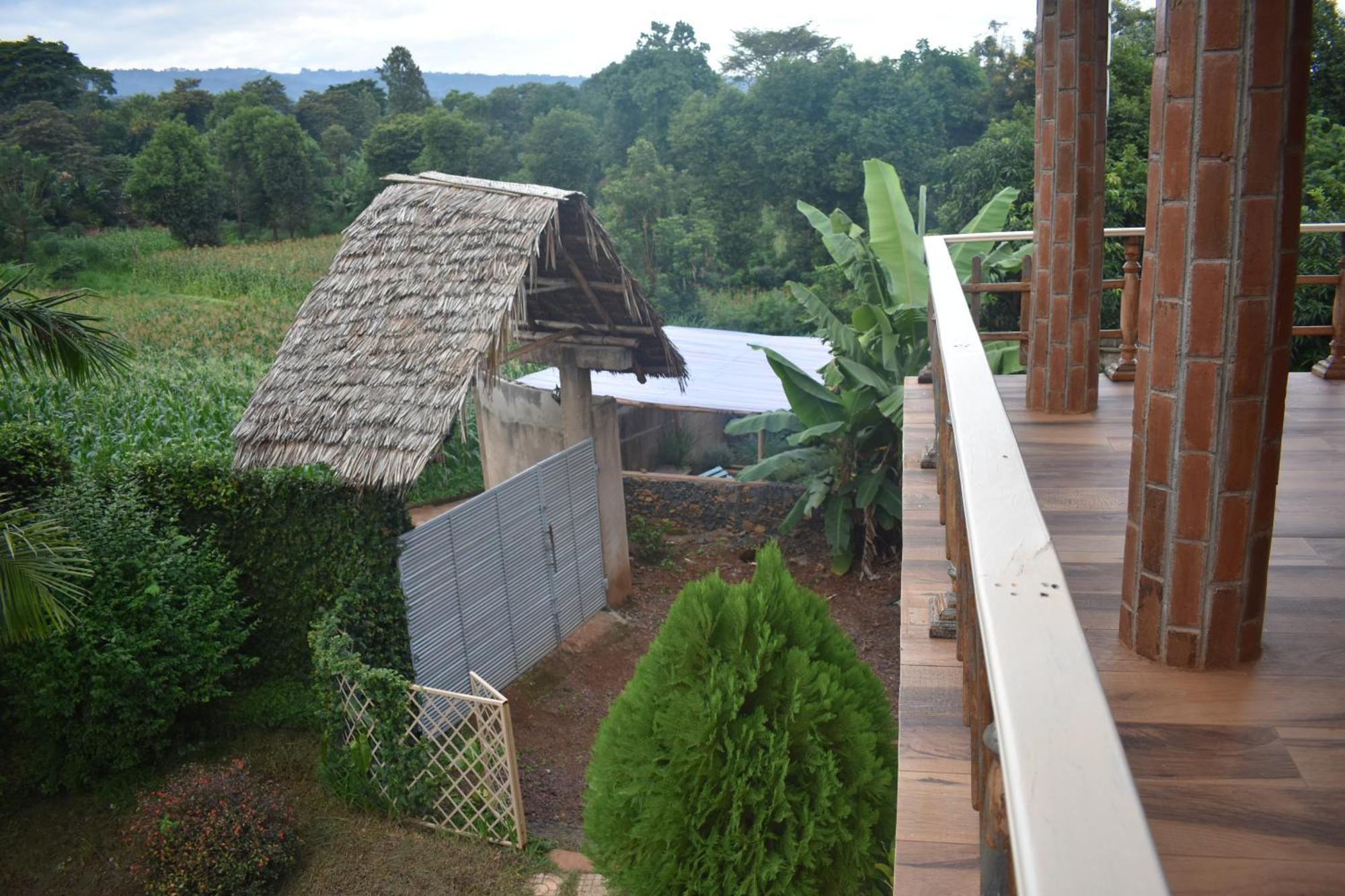 Kilimanjaro Accommodation Msaranga Bagian luar foto